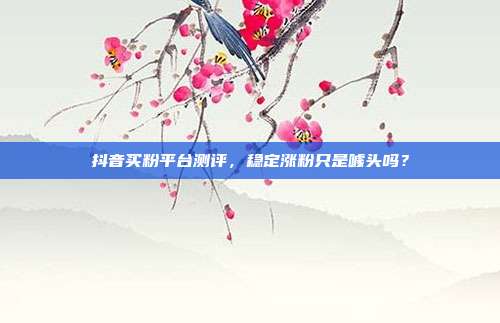 抖音买粉平台测评，稳定涨粉只是噱头吗？
