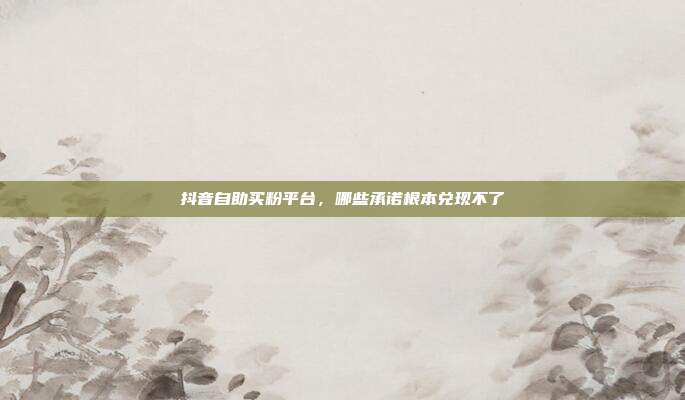 抖音自助买粉平台，哪些承诺根本兑现不了