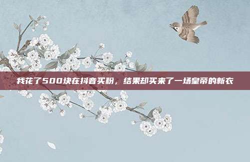 我花了500块在抖音买粉,结果却买来了一场皇帝的新衣
