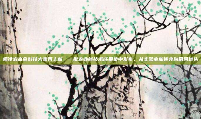 杨凌农高会科技大集再上新,一批农业新技术成果集中发布,从实验室加速奔向田间地头