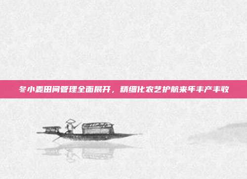 冬小麦田间管理全面展开，精细化农艺护航来年丰产丰收