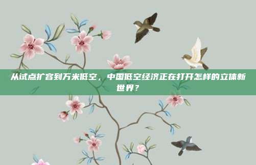 从试点扩容到万米低空，中国低空经济正在打开怎样的立体新世界？