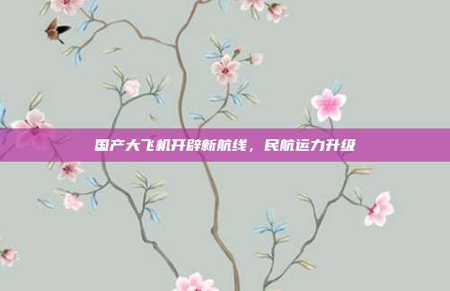 国产大飞机开辟新航线，民航运力升级