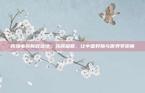跨境电商新政落地，以简破繁，让中国好物与世界零距离
