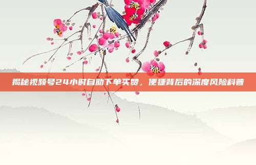 揭秘视频号24小时自助下单买赞,便捷背后的深度风险科普