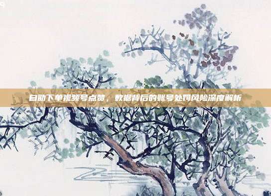 自助下单视频号点赞，数据背后的账号处罚风险深度解析