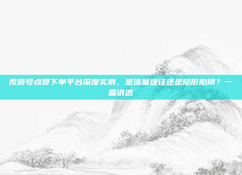 视频号点赞下单平台深度实测，是流量捷径还是隐形陷阱？一篇讲透