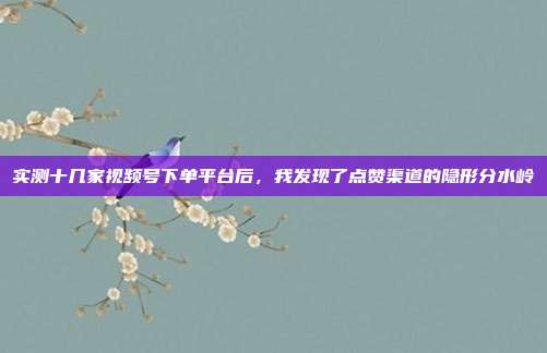 实测十几家视频号下单平台后，我发现了点赞渠道的隐形分水岭